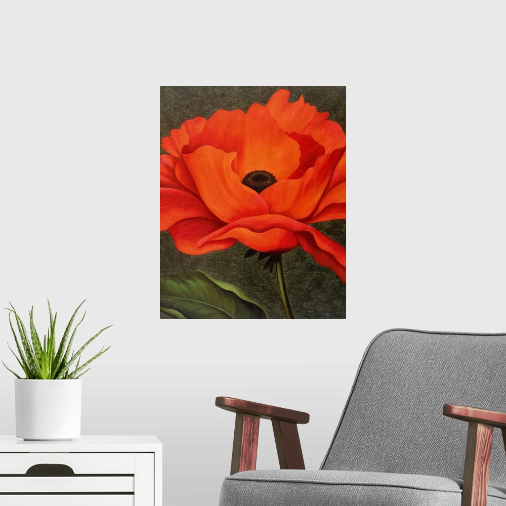 A modern room featuring single red poppy on green background
