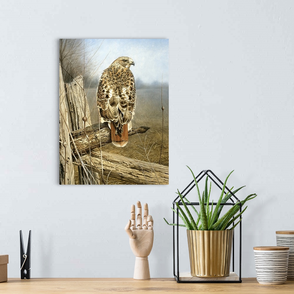 A bohemian room featuring Red tailed hawk perched on a fence post.