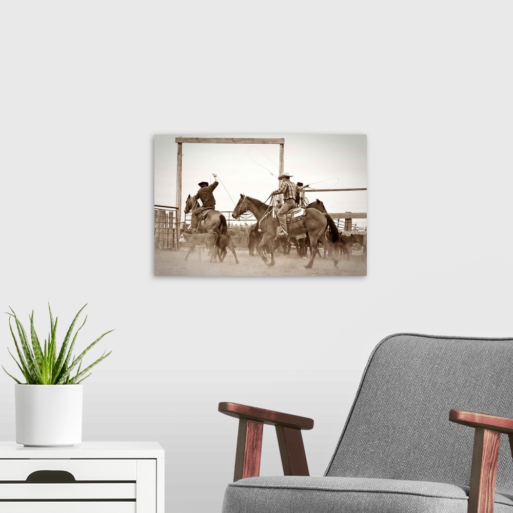 A modern room featuring Cowboys on horseback roping steer in corral