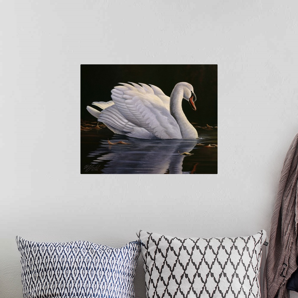 A bohemian room featuring Mute swan floating in the water looking pleasant and peaceful.