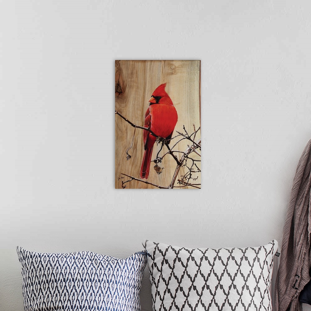 A bohemian room featuring Regal Cardinal