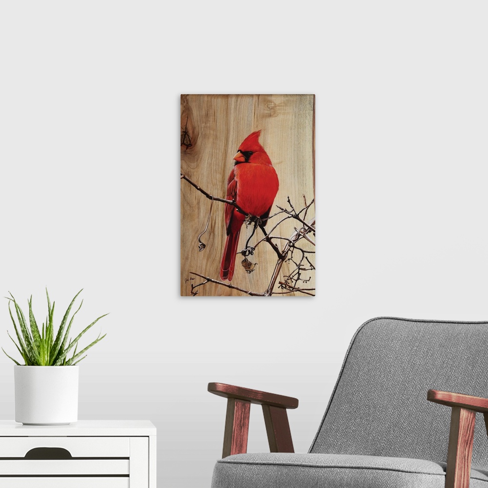 A modern room featuring Regal Cardinal