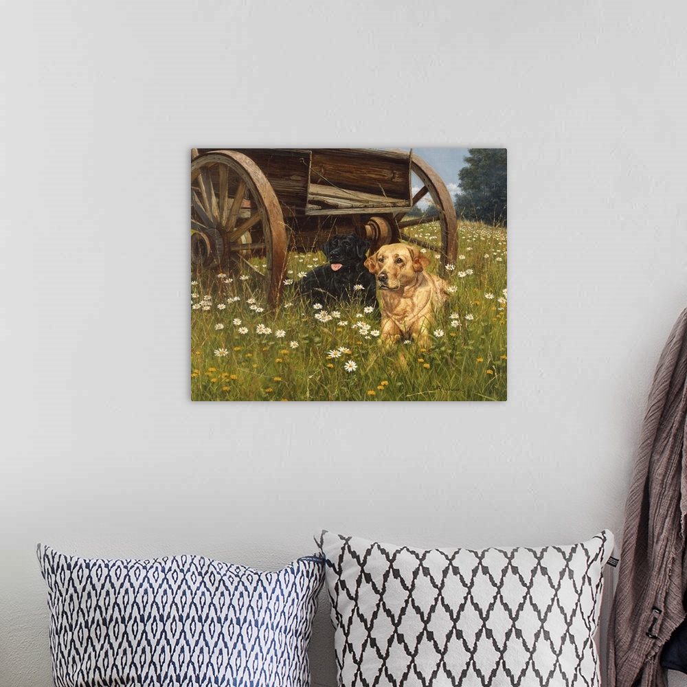 A bohemian room featuring Yellow lab laying in field of daisies next to a wooden cart looking at a butterfly.