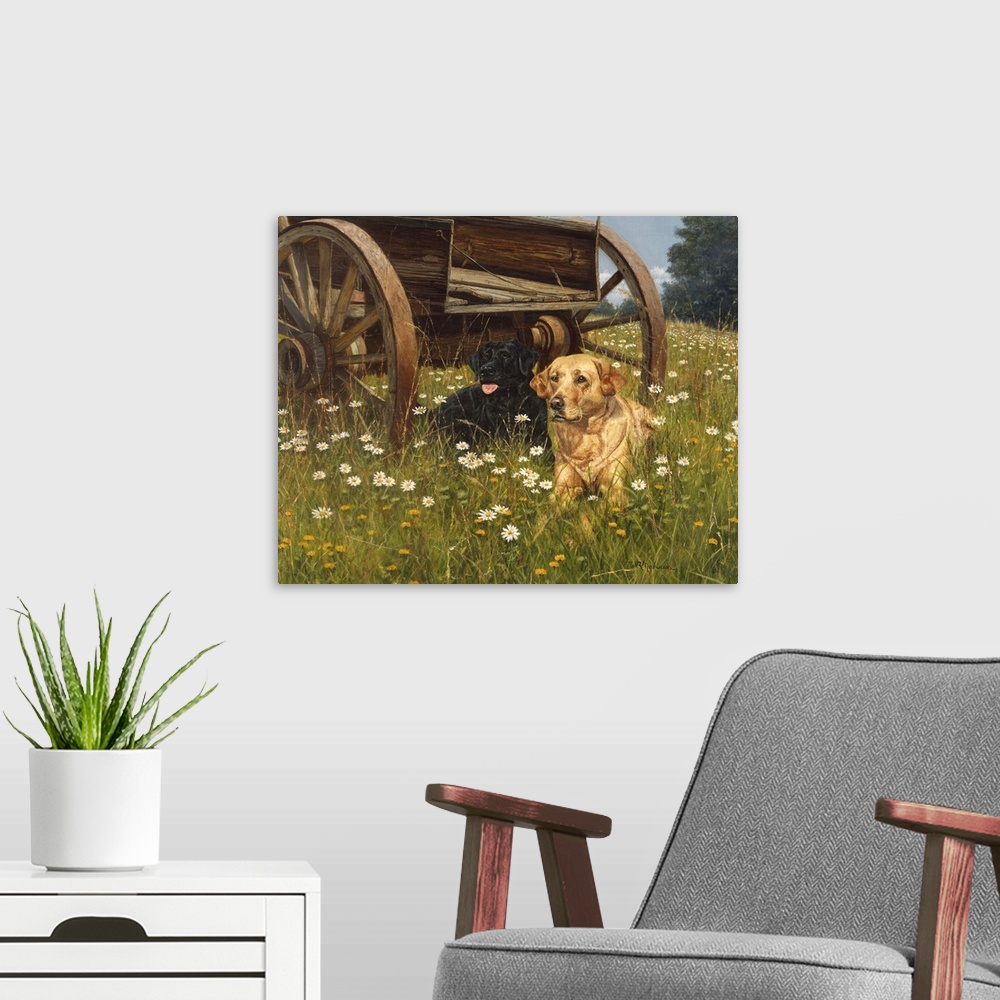 A modern room featuring Yellow lab laying in field of daisies next to a wooden cart looking at a butterfly.