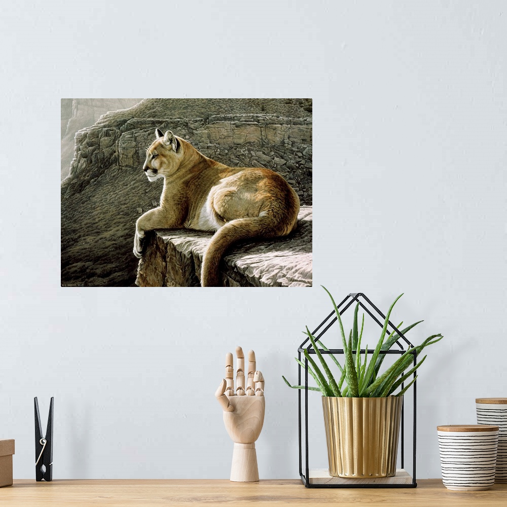 A bohemian room featuring A cougar lying on a rocky ledge.
