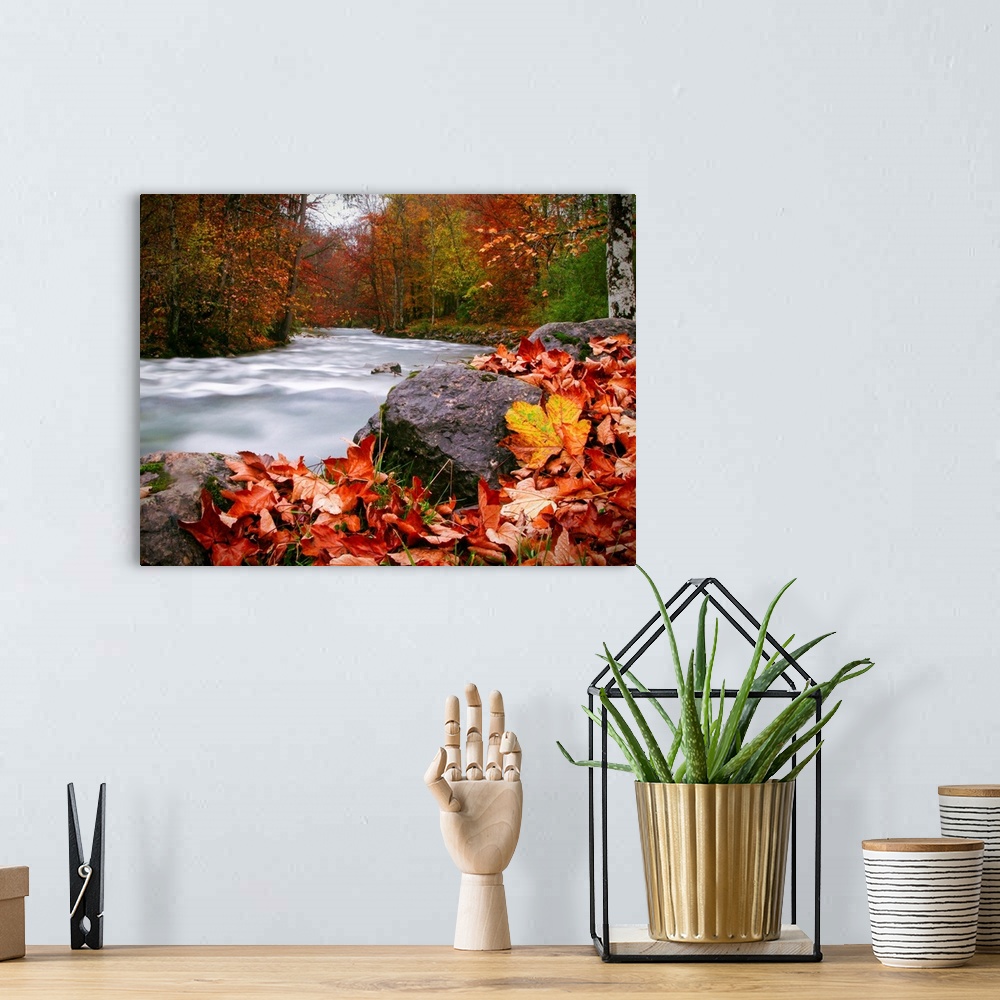 A bohemian room featuring Long exposure photograph of a rushing river in the forest with red and yellow Autumn leaves on th...