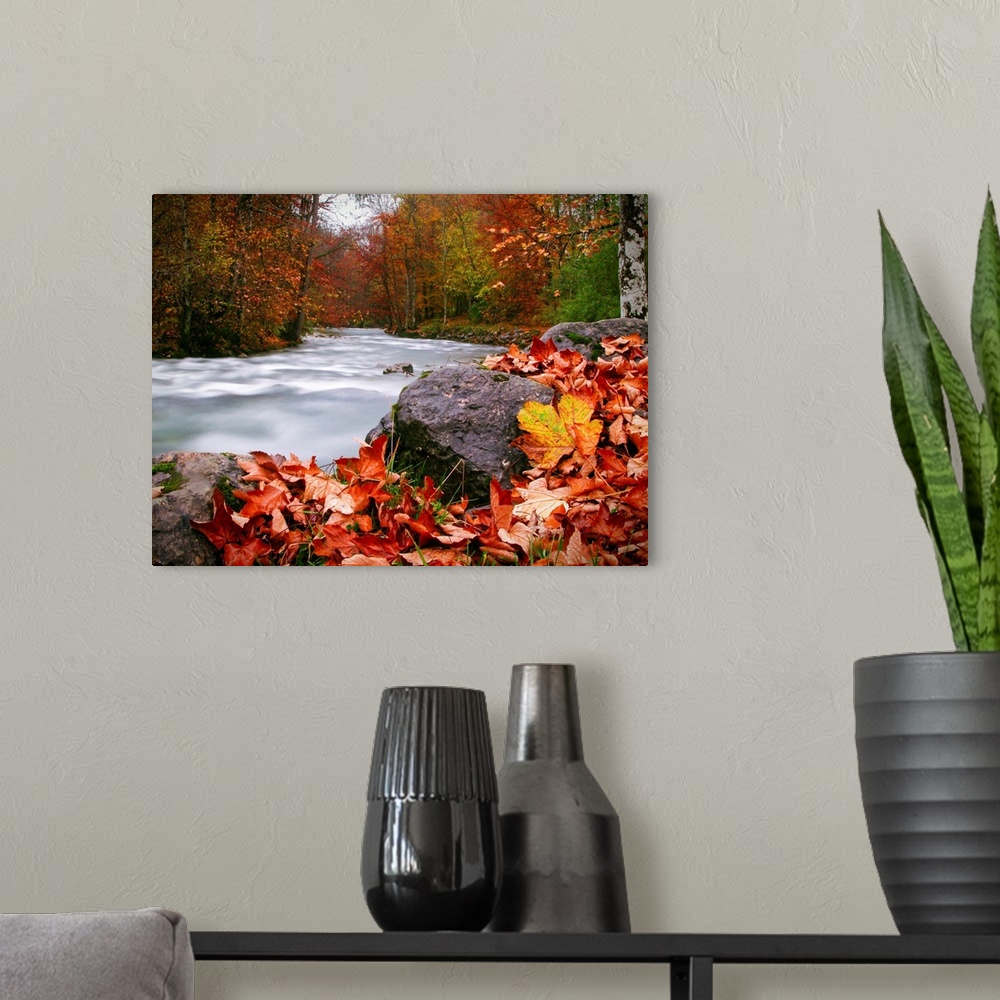 A modern room featuring Long exposure photograph of a rushing river in the forest with red and yellow Autumn leaves on th...