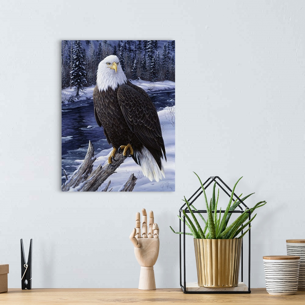 A bohemian room featuring Bald eagle on branch in front of snowy river winter