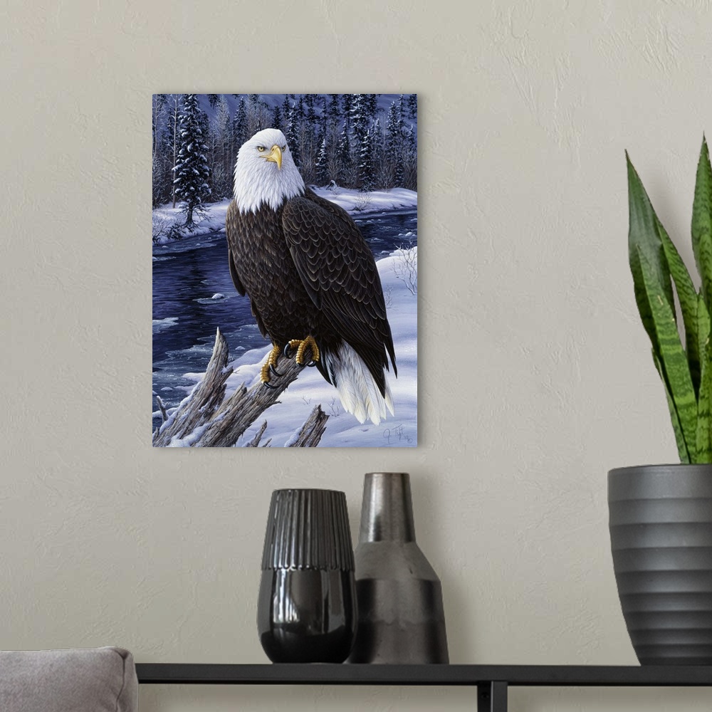 A modern room featuring Bald eagle on branch in front of snowy river winter