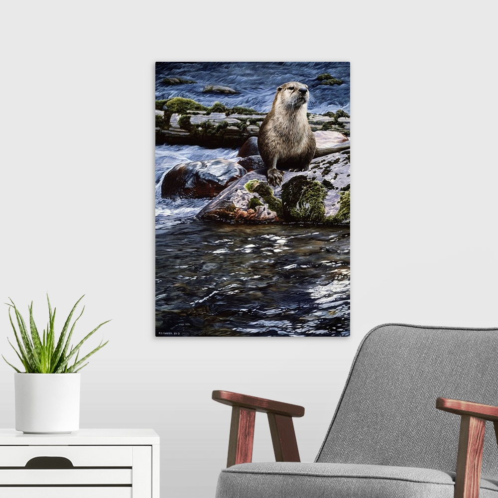 A modern room featuring An otter sitting on a rock in the middle of the river.