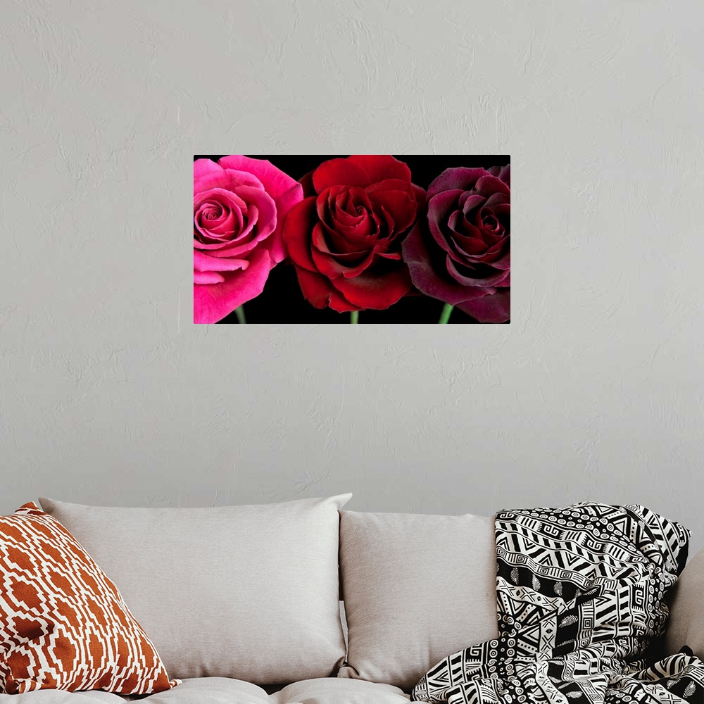 A bohemian room featuring Row Of Roses On Black