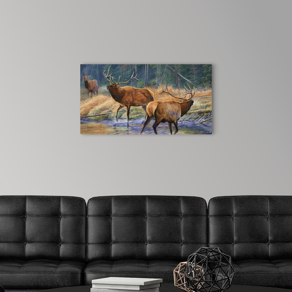 A modern room featuring two male elk challenging for female