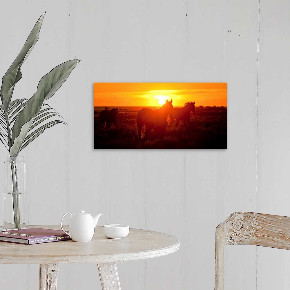 A farmhouse room featuring 3 horses running in the sunset