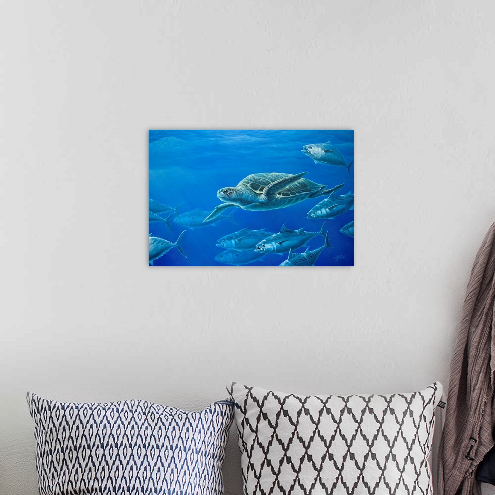A bohemian room featuring Sea turtle swimming among the other sea life in the ocean.