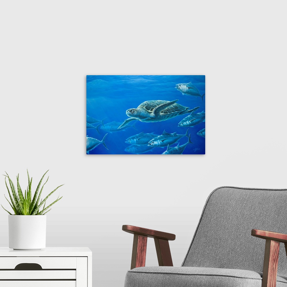 A modern room featuring Sea turtle swimming among the other sea life in the ocean.