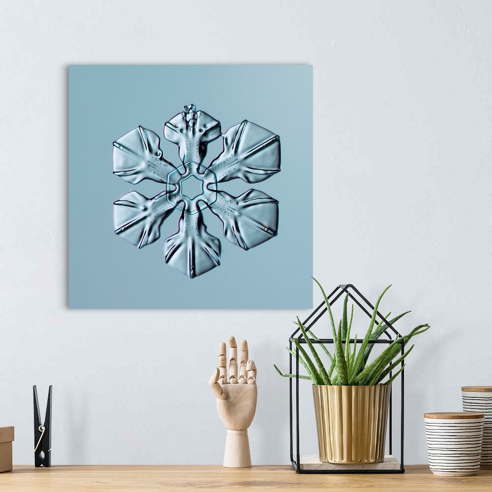 A bohemian room featuring Sectored Plate Snowflake