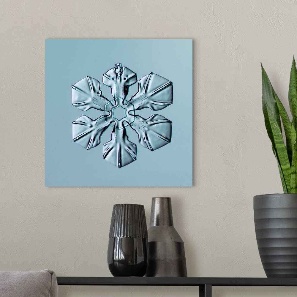 A modern room featuring Sectored Plate Snowflake