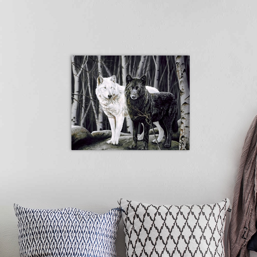 A bohemian room featuring A white and black wolf standing in the birch trees.