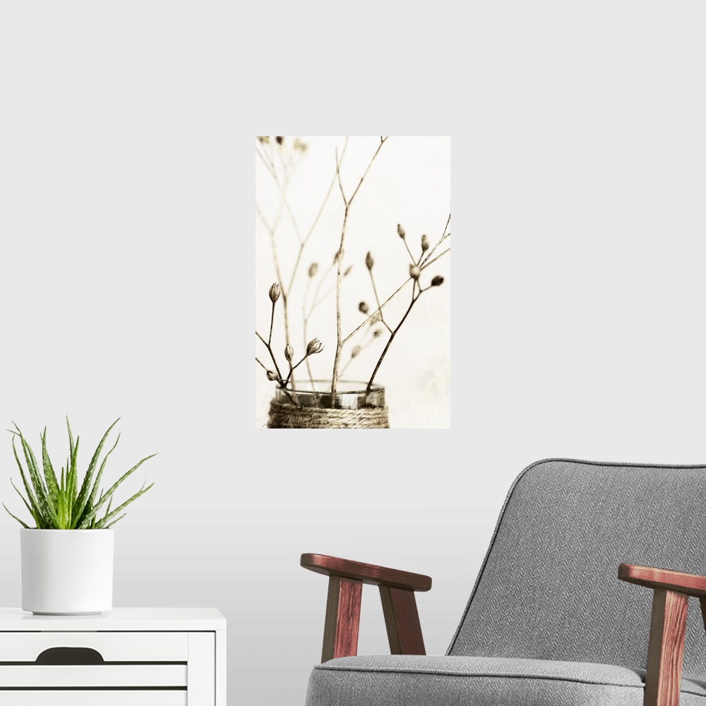 A modern room featuring Sepia Dried Flowers 01