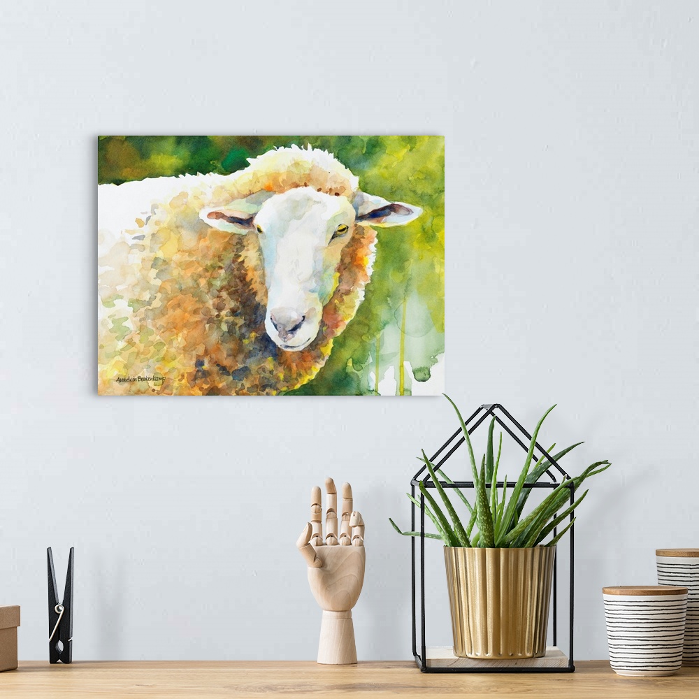A bohemian room featuring Sheep IV