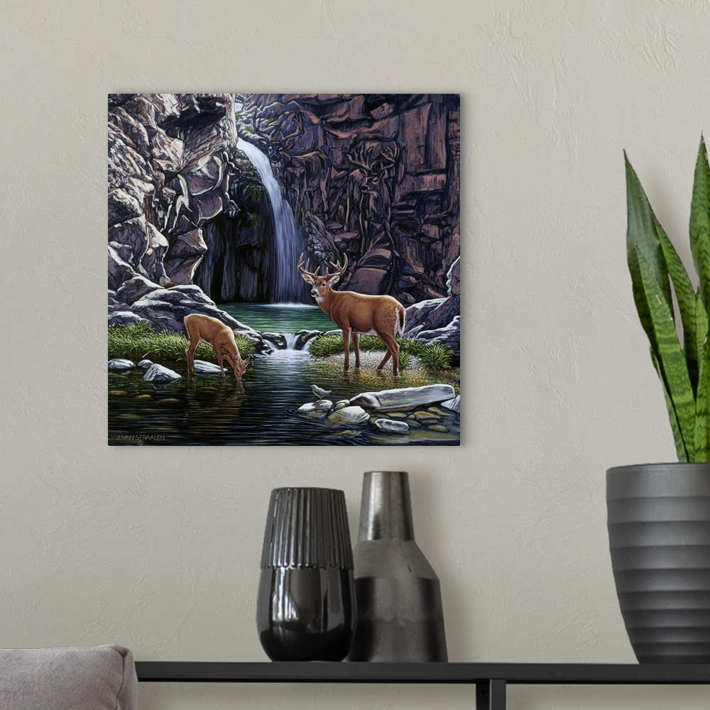 A modern room featuring Deer drinking from a stream.