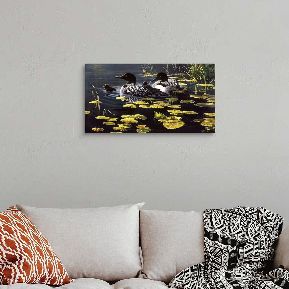 A bohemian room featuring Loon family among the lily pads on a pond.