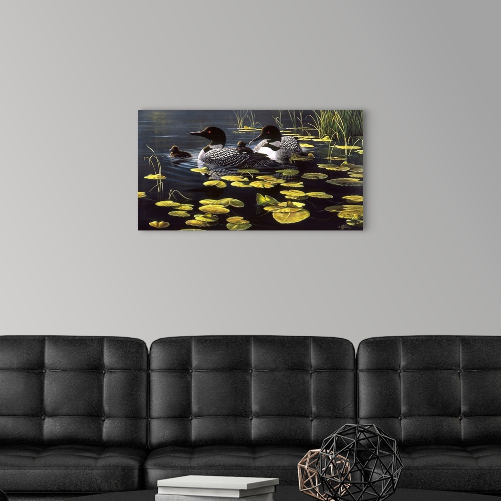 A modern room featuring Loon family among the lily pads on a pond.