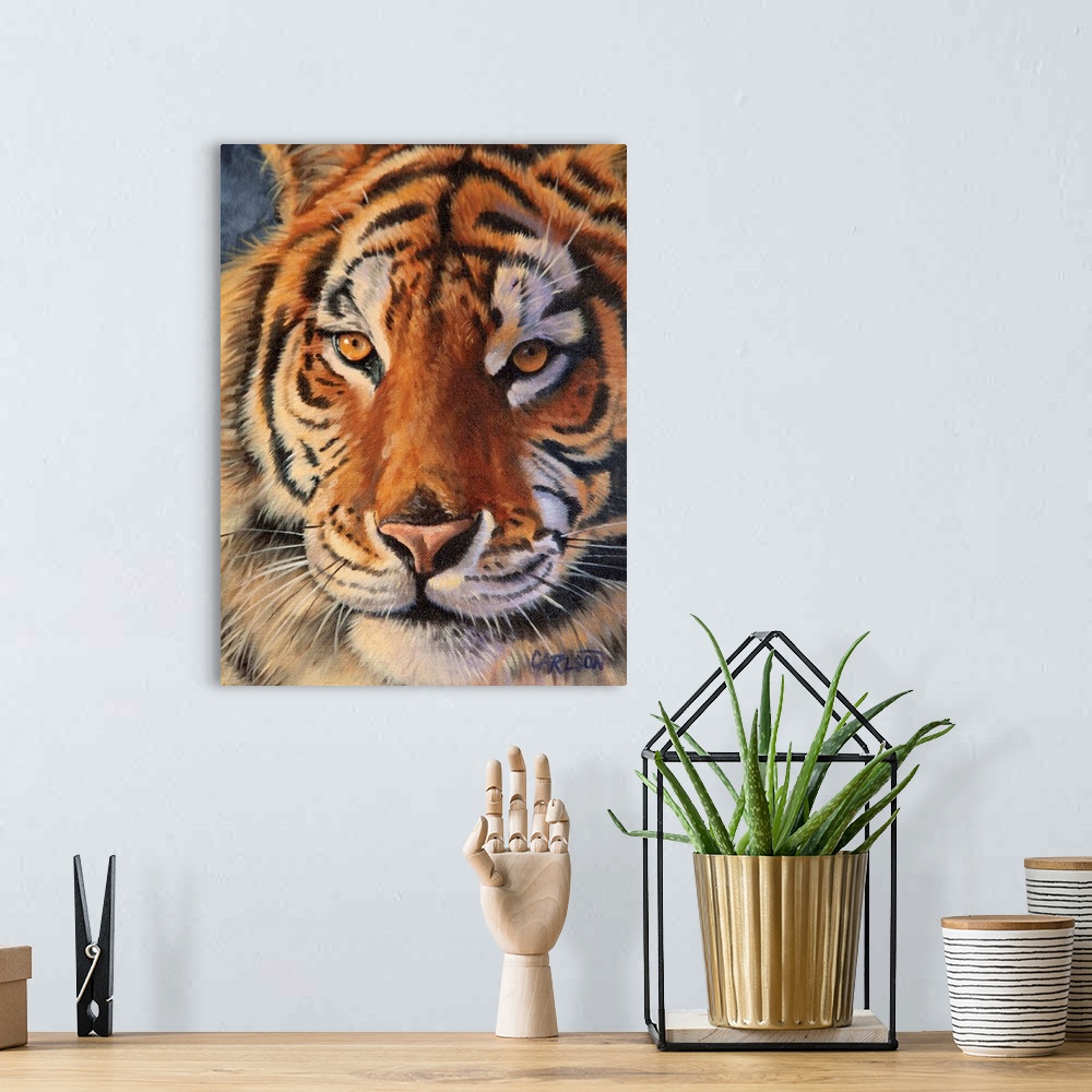 A bohemian room featuring tiger