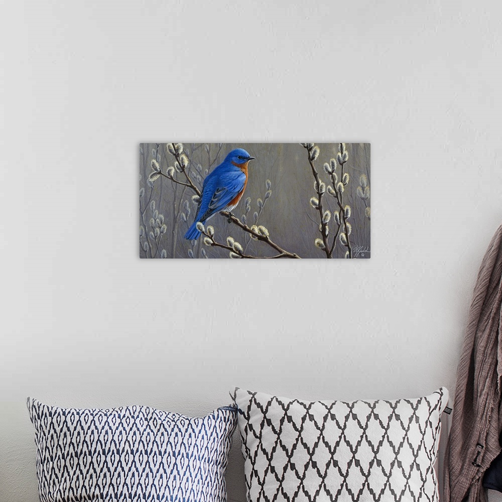 A bohemian room featuring Eastern bluebird perched on pussy willows.