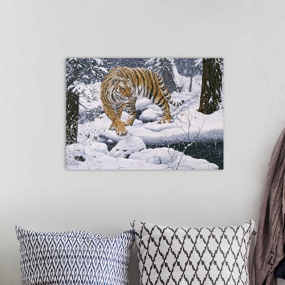 A bohemian room featuring Siberian tiger in the snowy woods