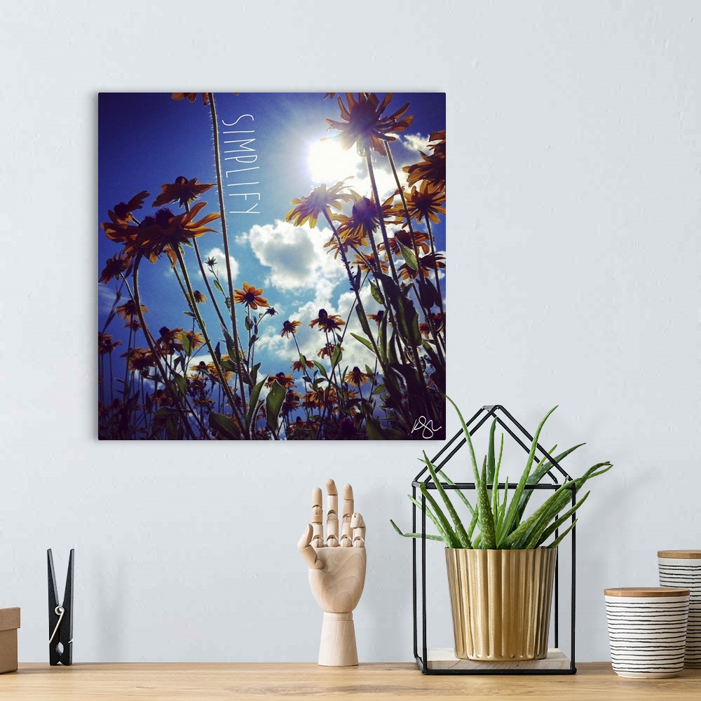 A bohemian room featuring Motivational text against background photograph of a worms eye view of flowers and sky.