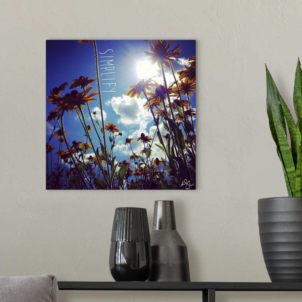 A modern room featuring Motivational text against background photograph of a worms eye view of flowers and sky.