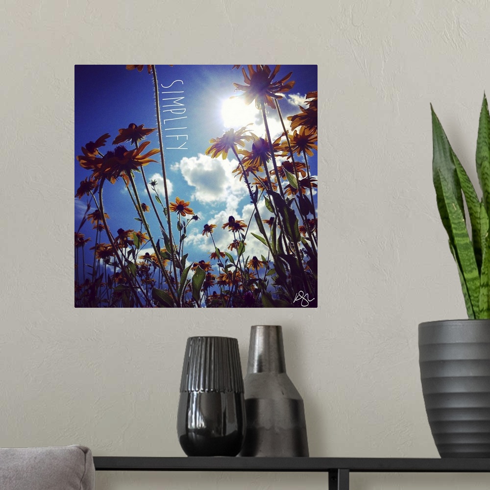A modern room featuring Motivational text against background photograph of a worms eye view of flowers and sky.