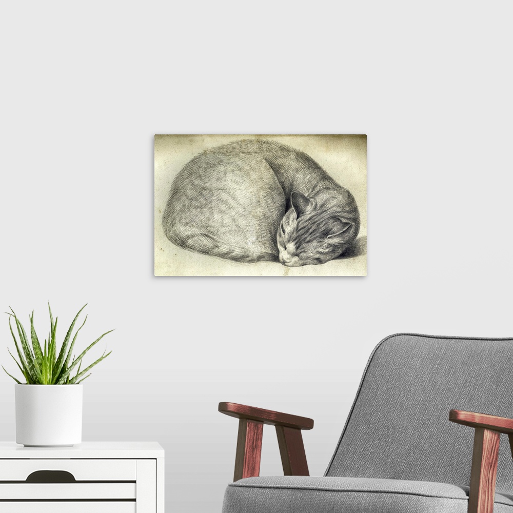 A modern room featuring A vintage illustration of a sleeping cat curled up in a ball.