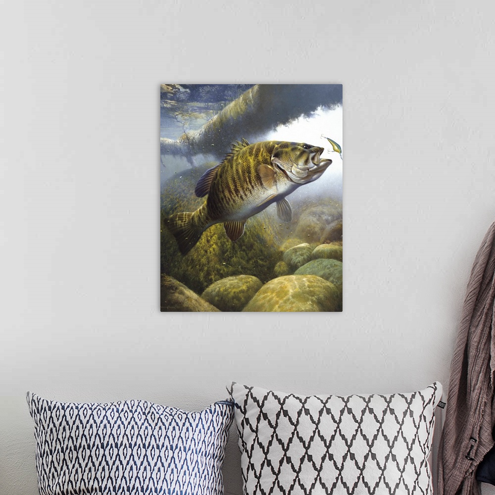 A bohemian room featuring Underwater shot of small mouth bass approaching lure.