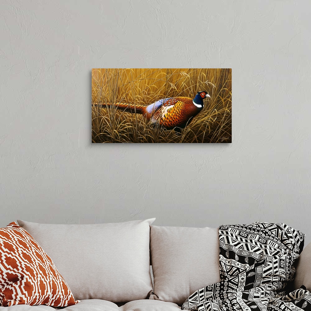 A bohemian room featuring A ring neck pheasant hiding in tall grass.