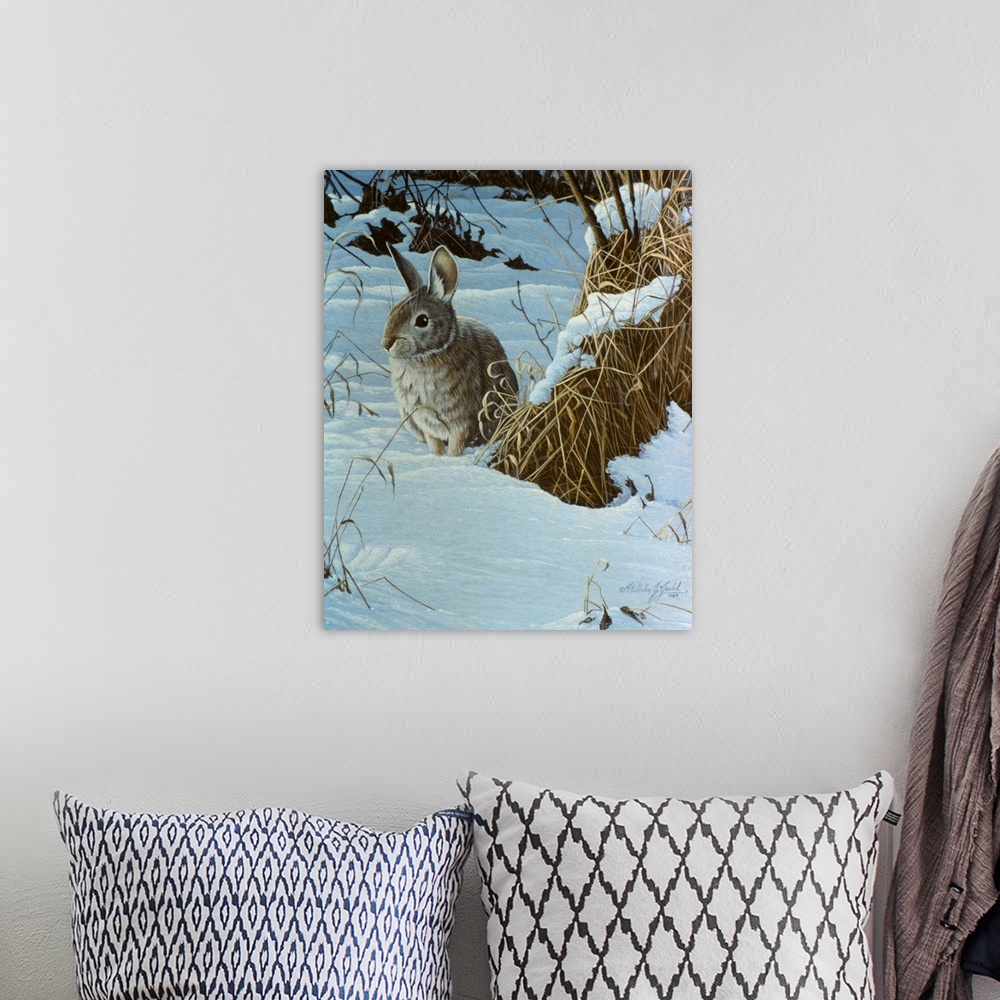 A bohemian room featuring Cottontail in a snowy field.