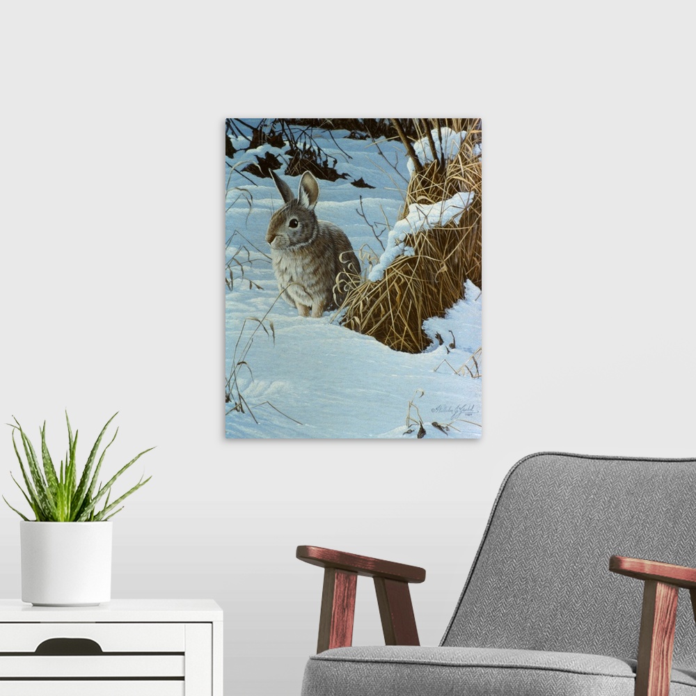 A modern room featuring Cottontail in a snowy field.