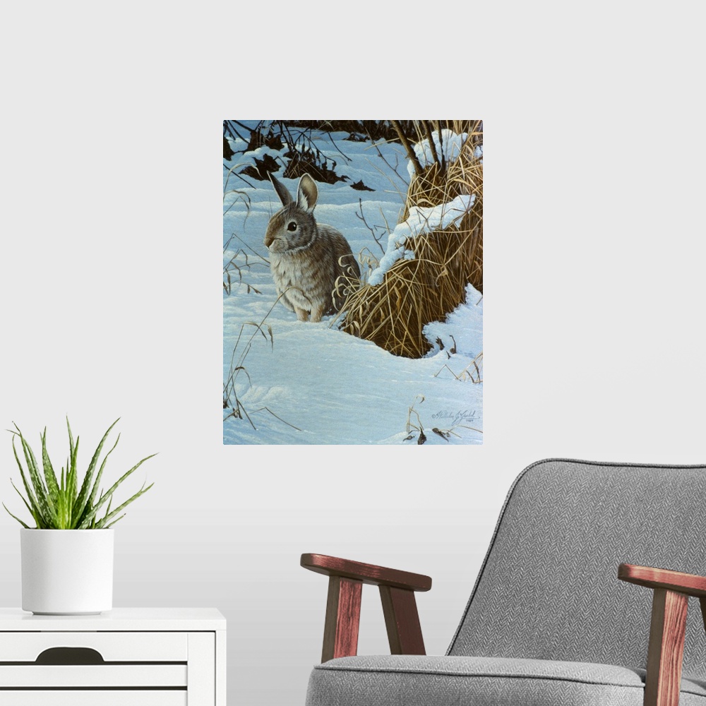 A modern room featuring Cottontail in a snowy field.