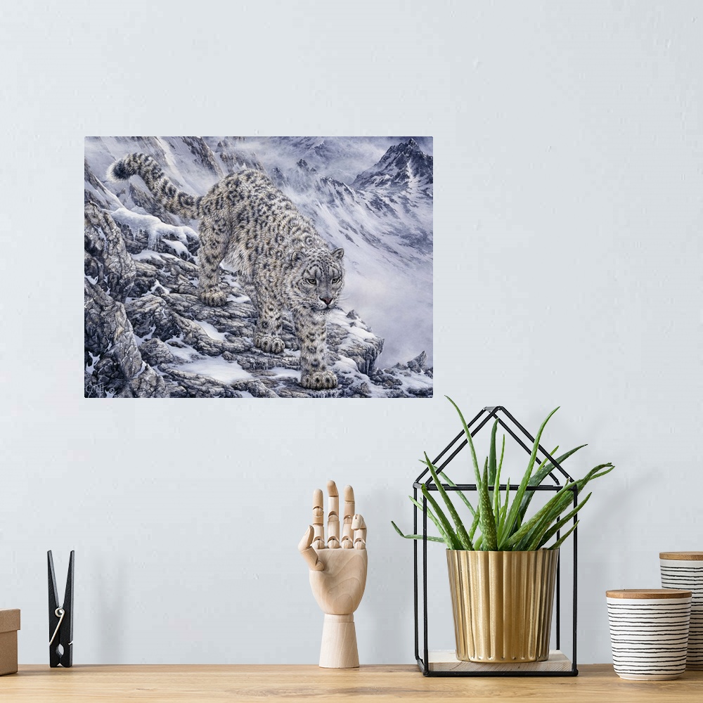 A bohemian room featuring A snow leopard on the ledges.
