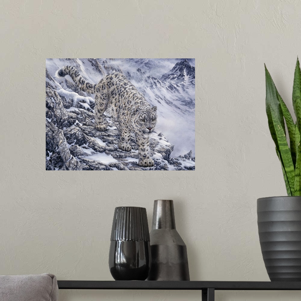 A modern room featuring A snow leopard on the ledges.
