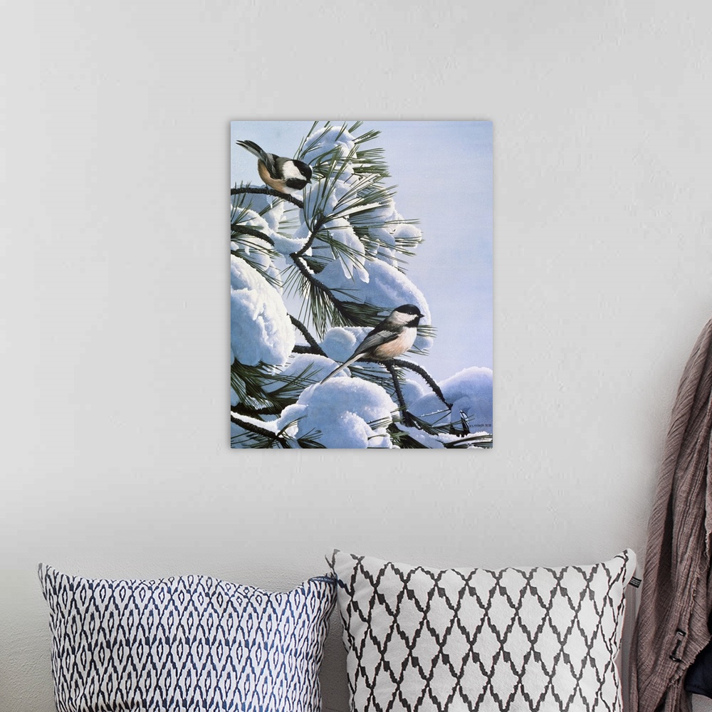 A bohemian room featuring A group of chickadees rests on a snow covered pine tree.
