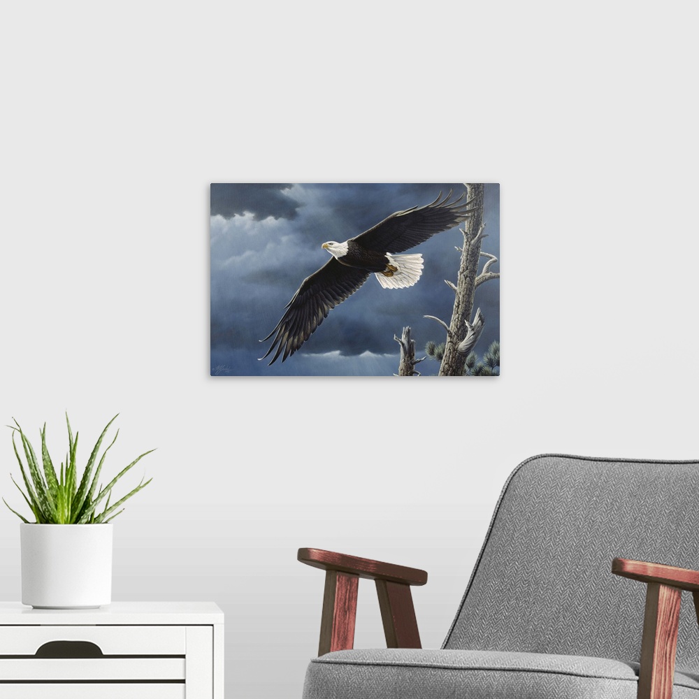 A modern room featuring Bald eagle flying with dark clouds behind him.