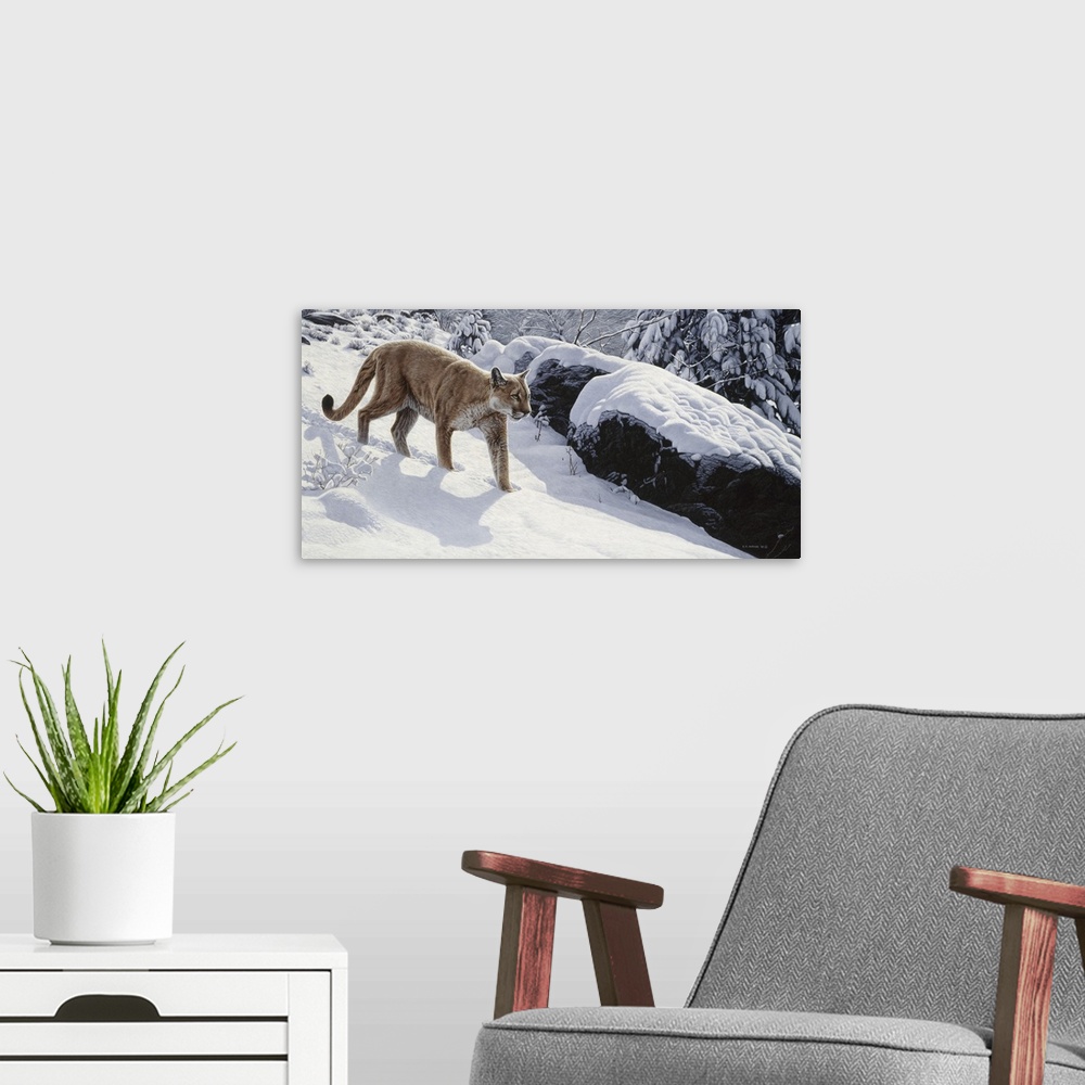 A modern room featuring A cougar creeping in the snowy woods.
