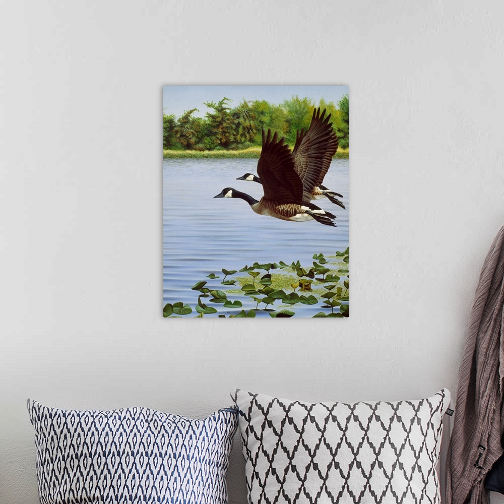 A bohemian room featuring Two Canada geese taking off from a small body of water.