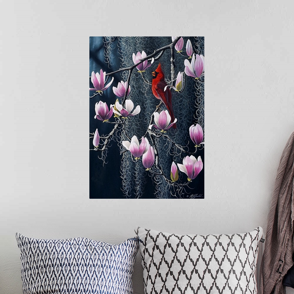 A bohemian room featuring Cardinal in magnolia tree