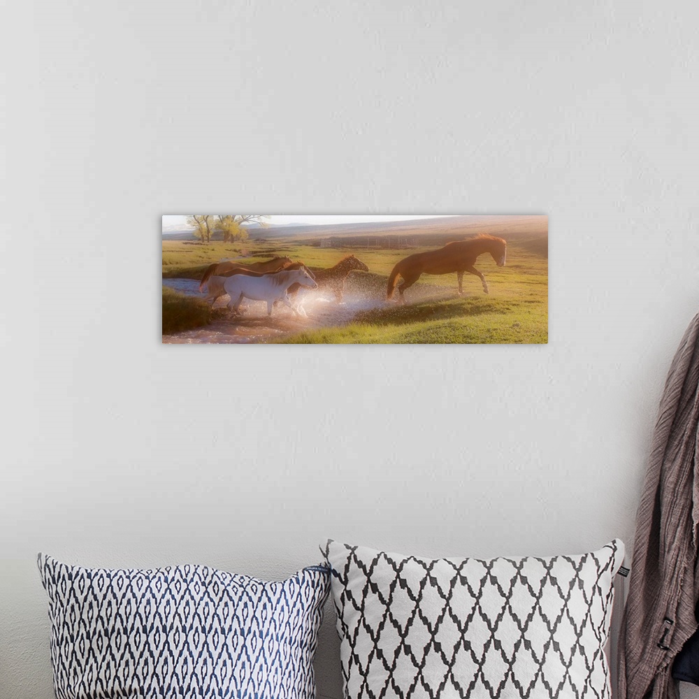 A bohemian room featuring Photograph of horses crossing a river in the middle of a field at sunset.