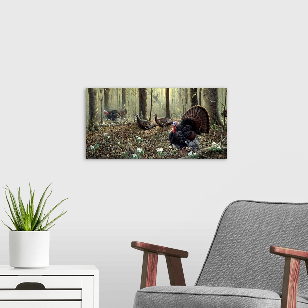 A modern room featuring Flock of turkeys in the forest.