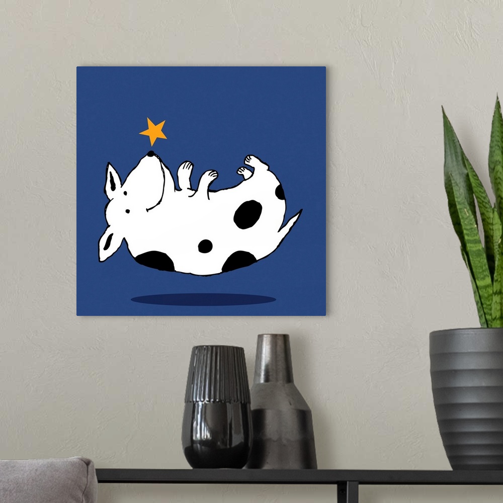 A modern room featuring dog, star