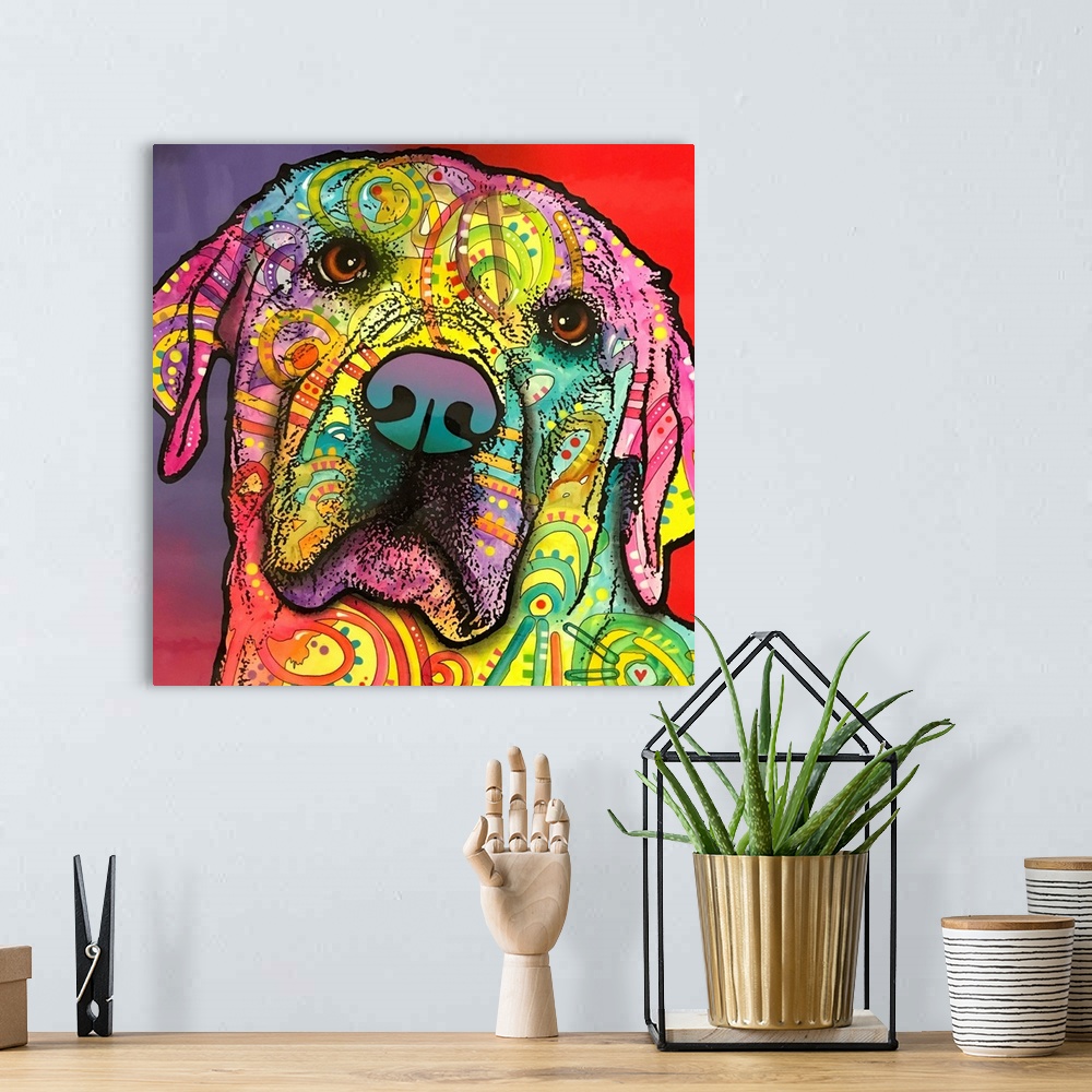 A bohemian room featuring Square painting of a colorful Labrador face with graffiti-like designs on a red and purple backgr...